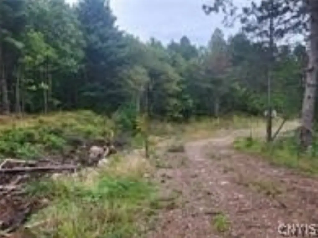 Picture 3