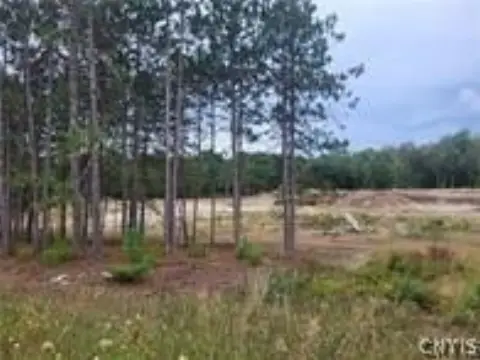 Commercial Land with Road Frontage