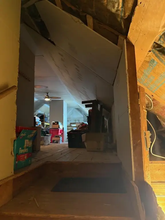 Picture 23