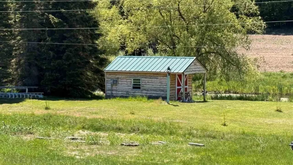 Picture 17