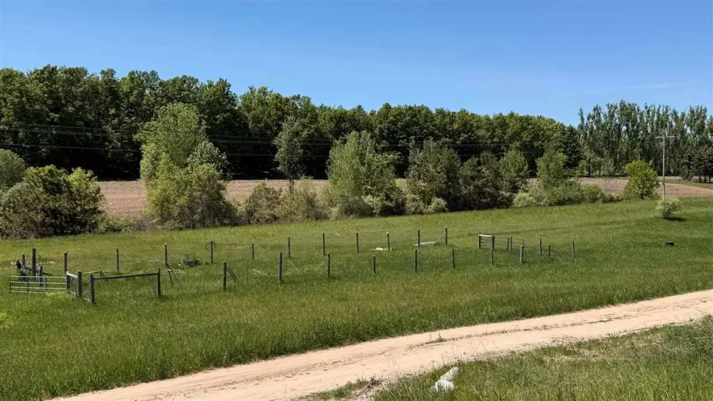 Picture 19
