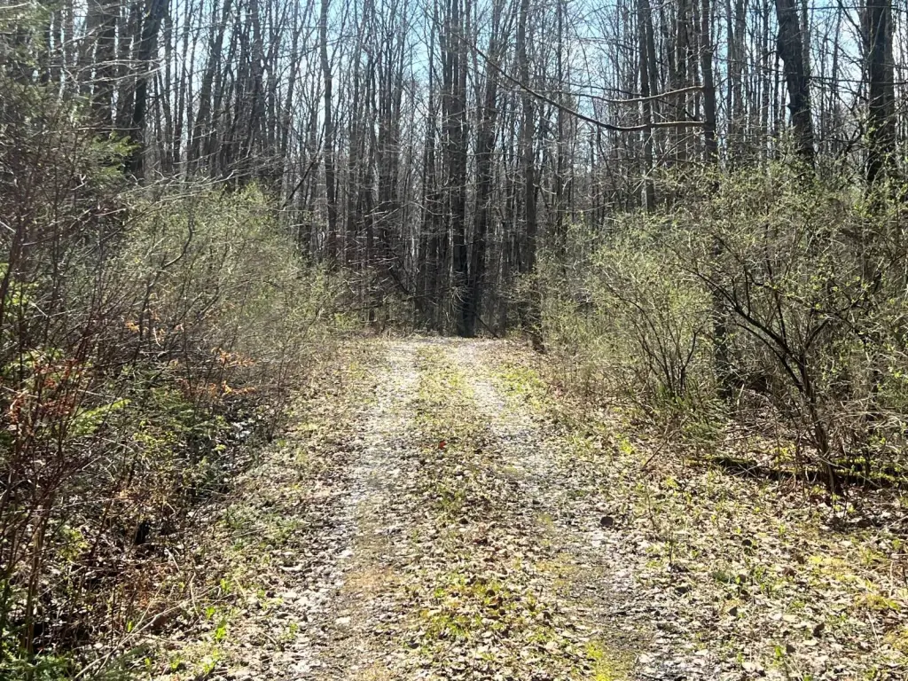 Picture 11