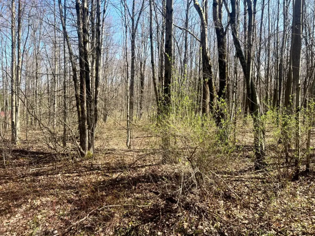 Picture 16