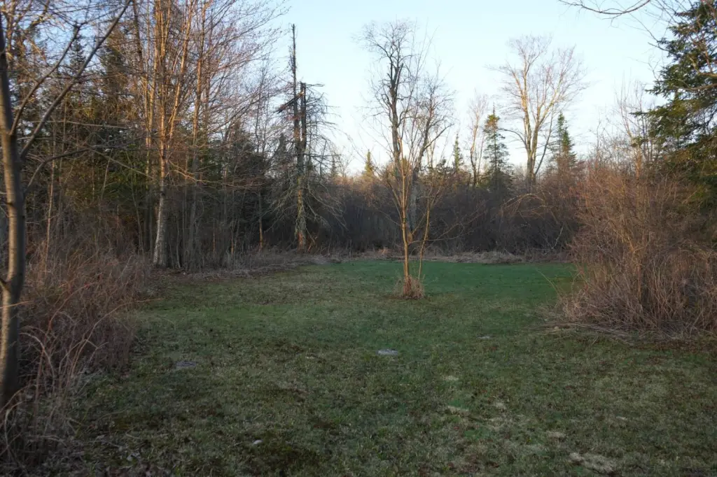Picture 28