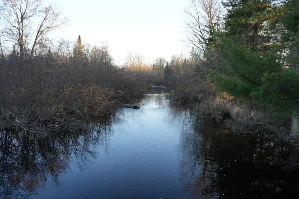 Picture 29