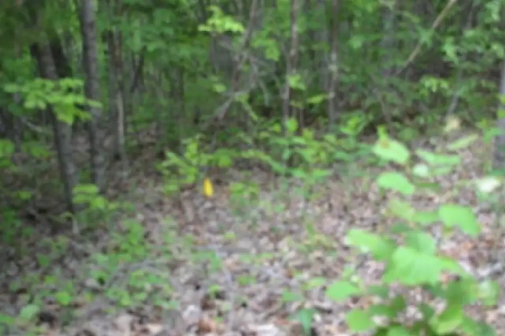 Picture 35