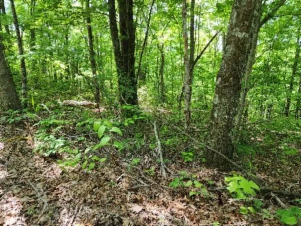 Picture 3