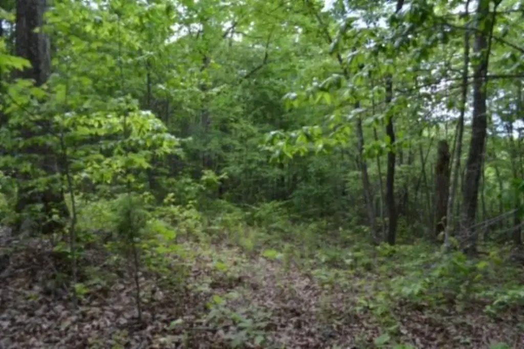 Picture 25
