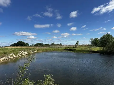 Land in Dewitt, Illinois