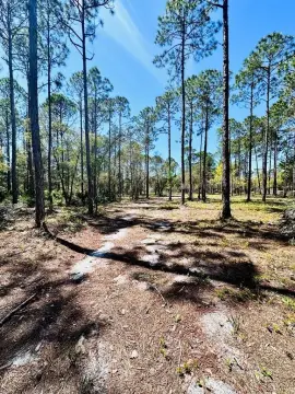 Carrabelle, FL Residential Land
