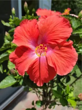 Land in Providence Forge, VA