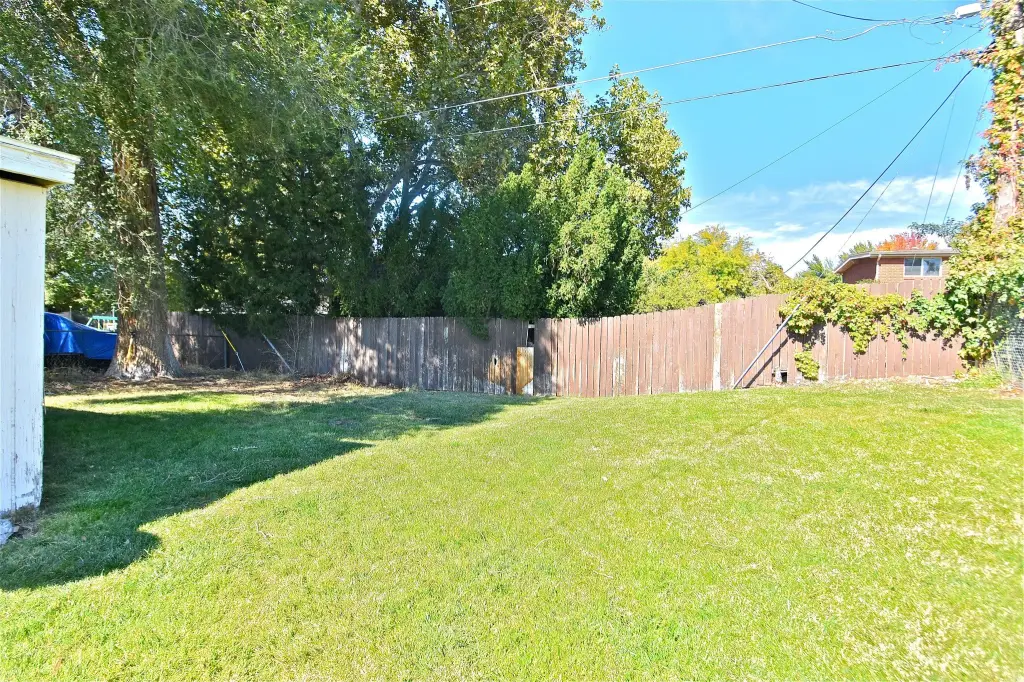 Picture 22