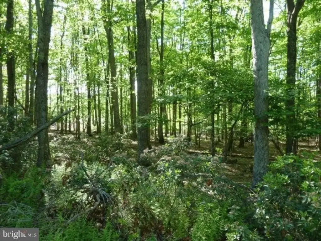 Picture 13