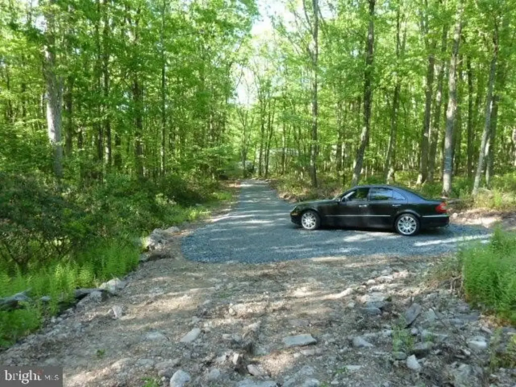 Picture 9
