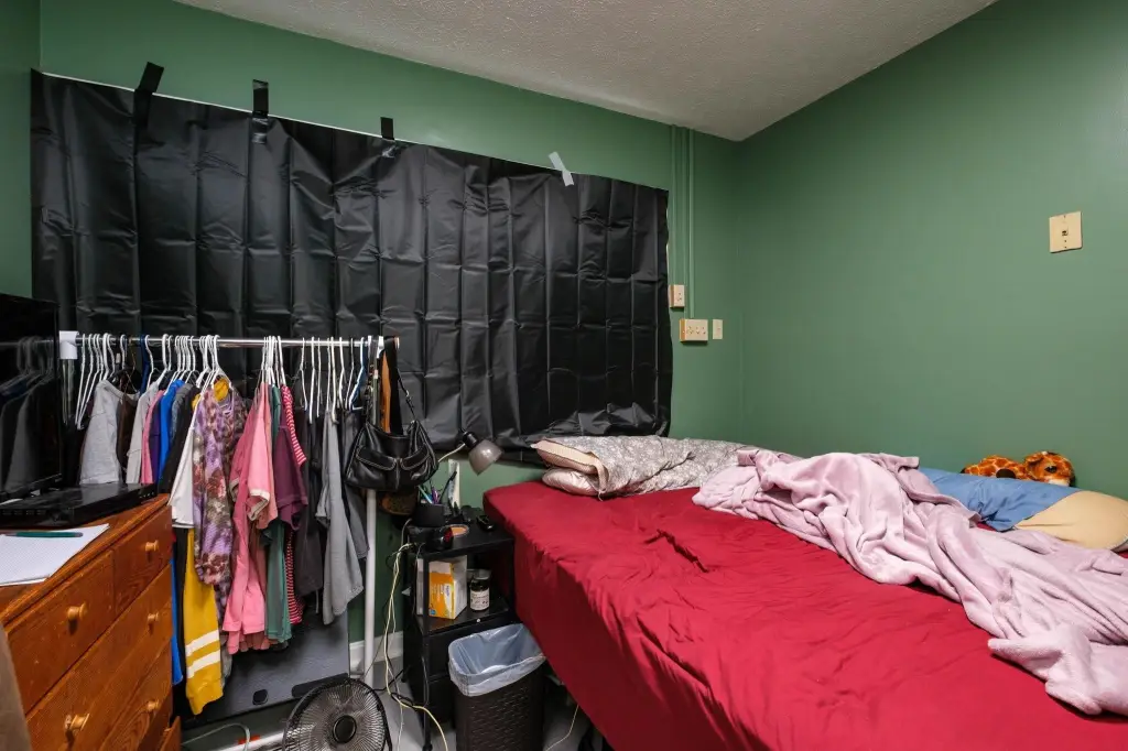 Picture 31