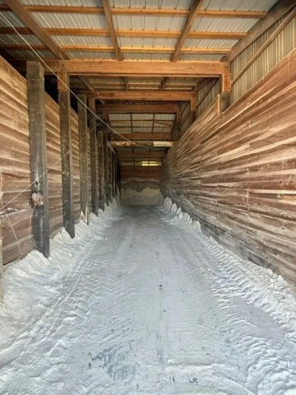 Picture 9