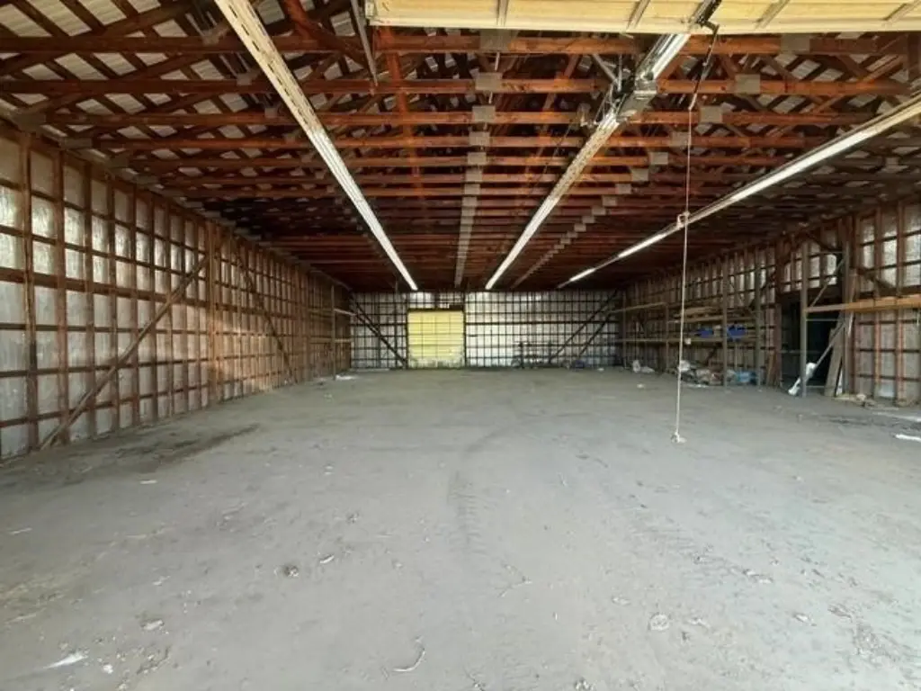 Picture 3