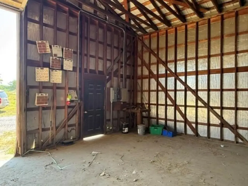 Picture 5
