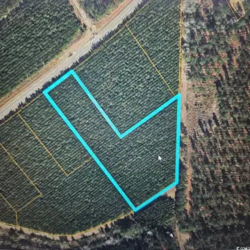 Residential Lot Near Loris, SC