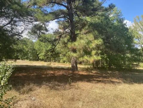 37 Acres Vacant Land