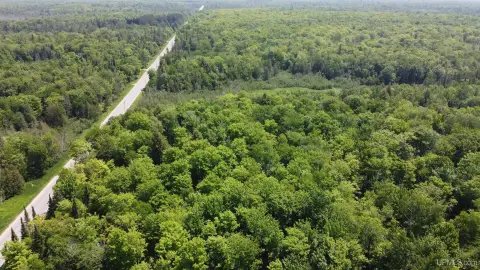 Shingleton Vacant Land with Trout Stream