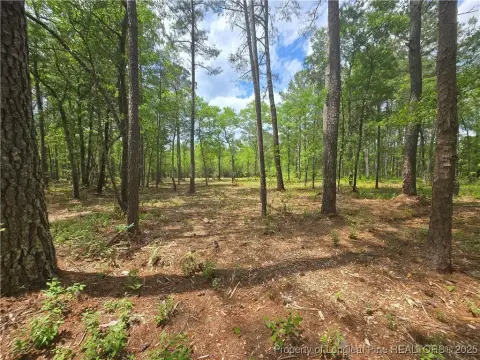 25 Acres of Wooded Land