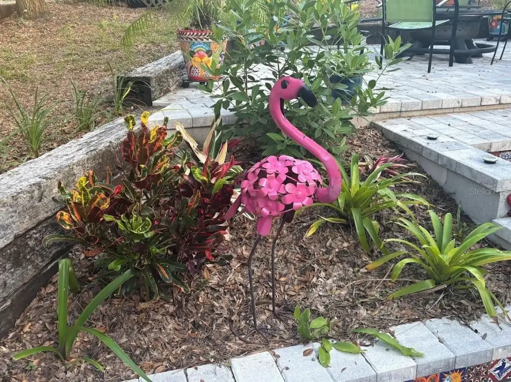 Picture 8
