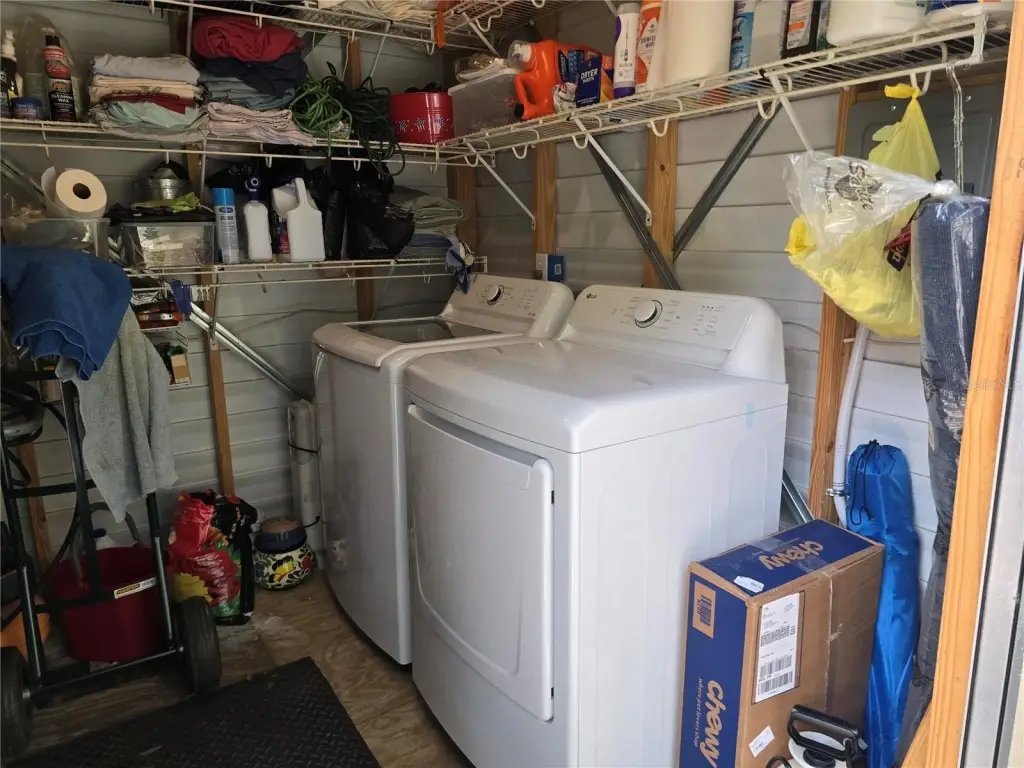 Picture 15