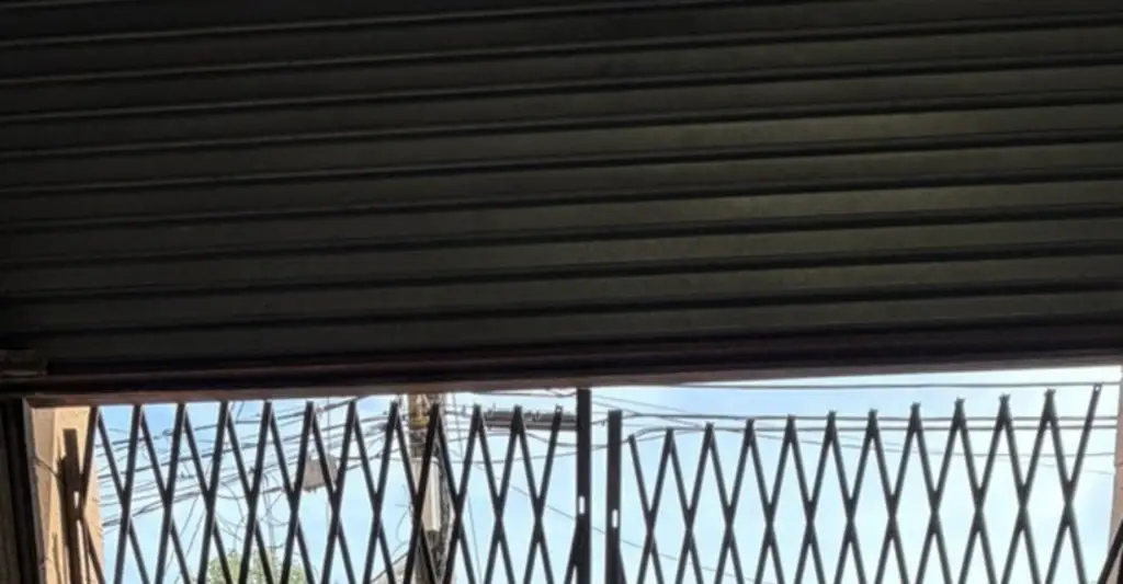 Picture 5
