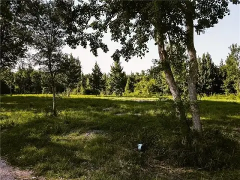 20+ Acres Vacant Land