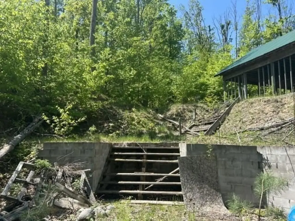 Picture 12