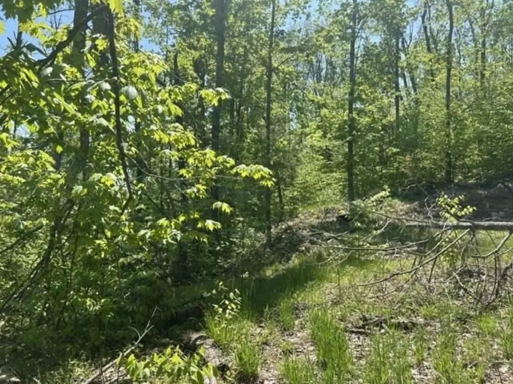Picture 10