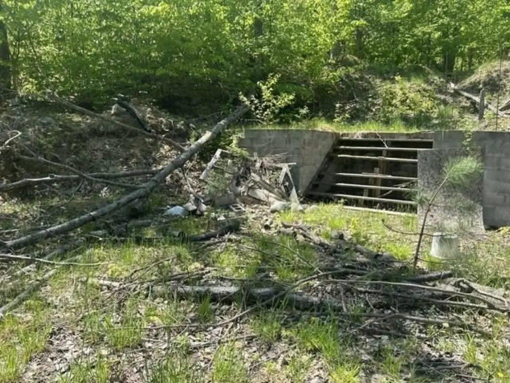Picture 11