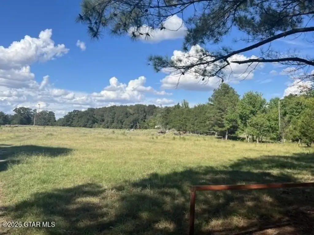 Picture 8