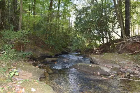 Ellijay Acreage with Creek Frontage