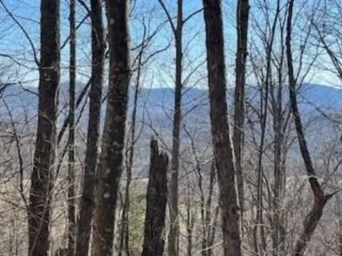 Mountain Top Acreage with Views