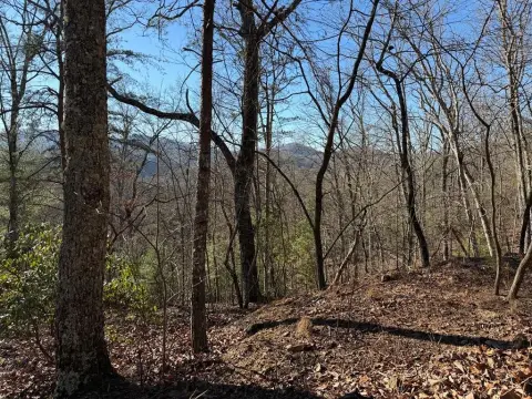 Hayesville, NC Wooded Acreage