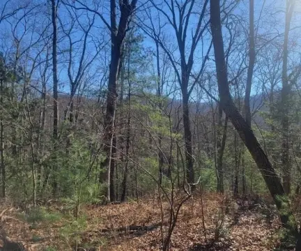 Hayesville NC Wooded Lot