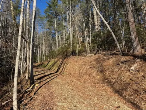 Unrestricted Mountain Acreage in Blairsville