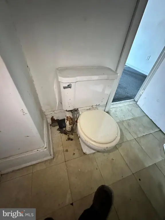 Picture 23