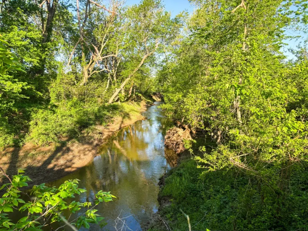 Picture 28