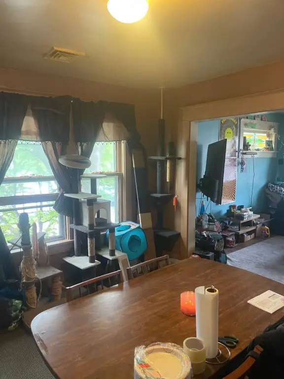 Picture 26