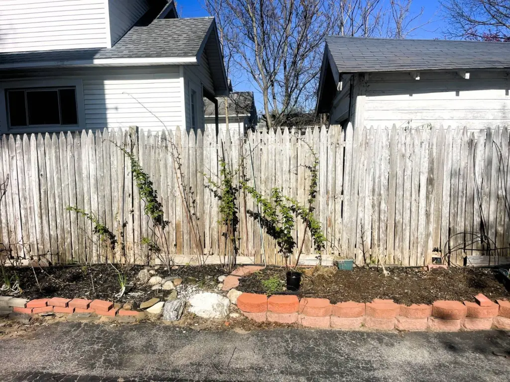 Picture 43