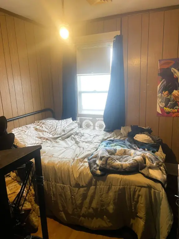 Picture 28