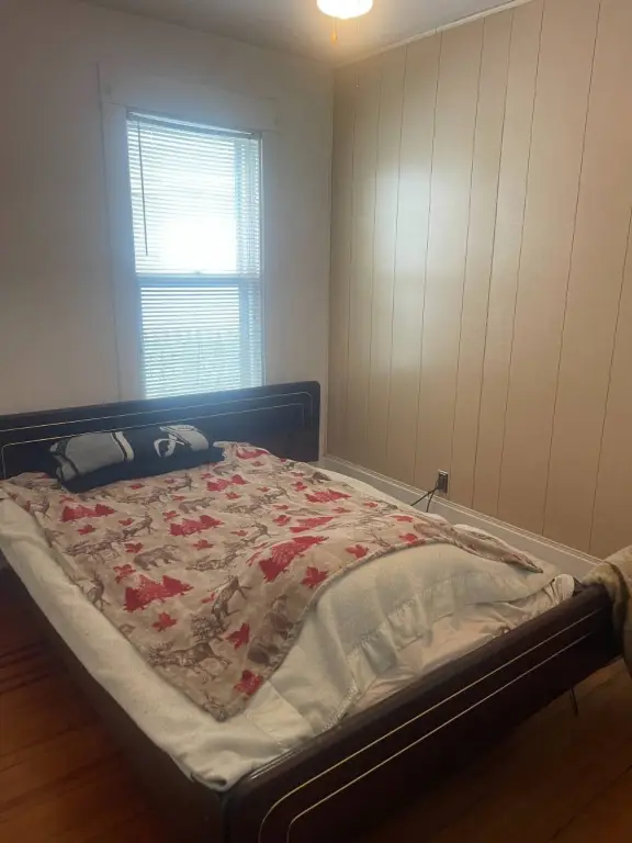 Picture 17