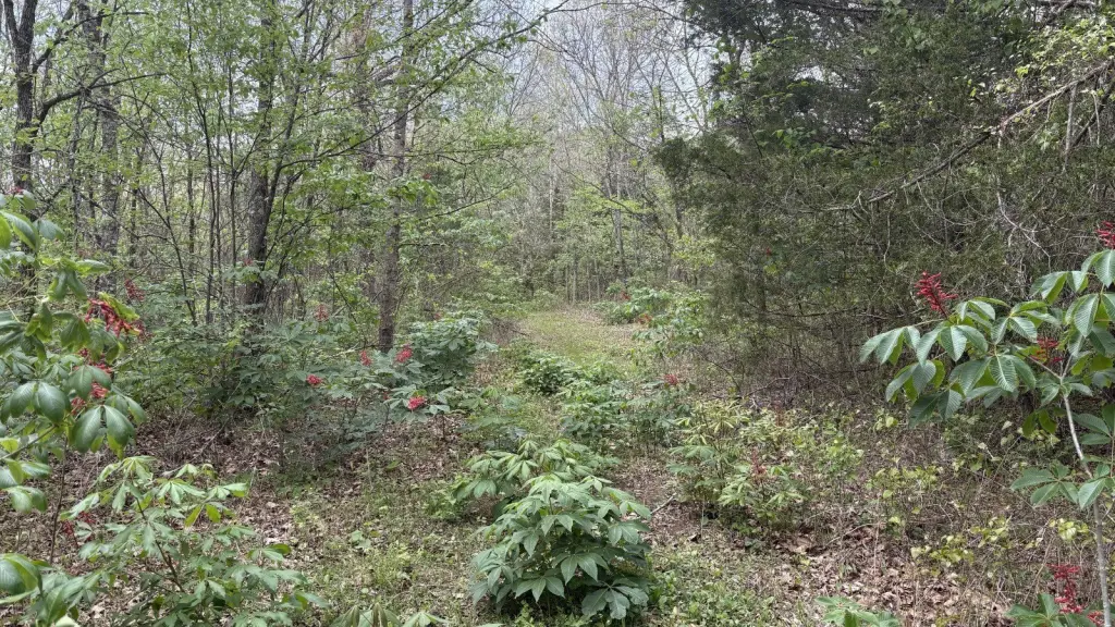 Picture 17