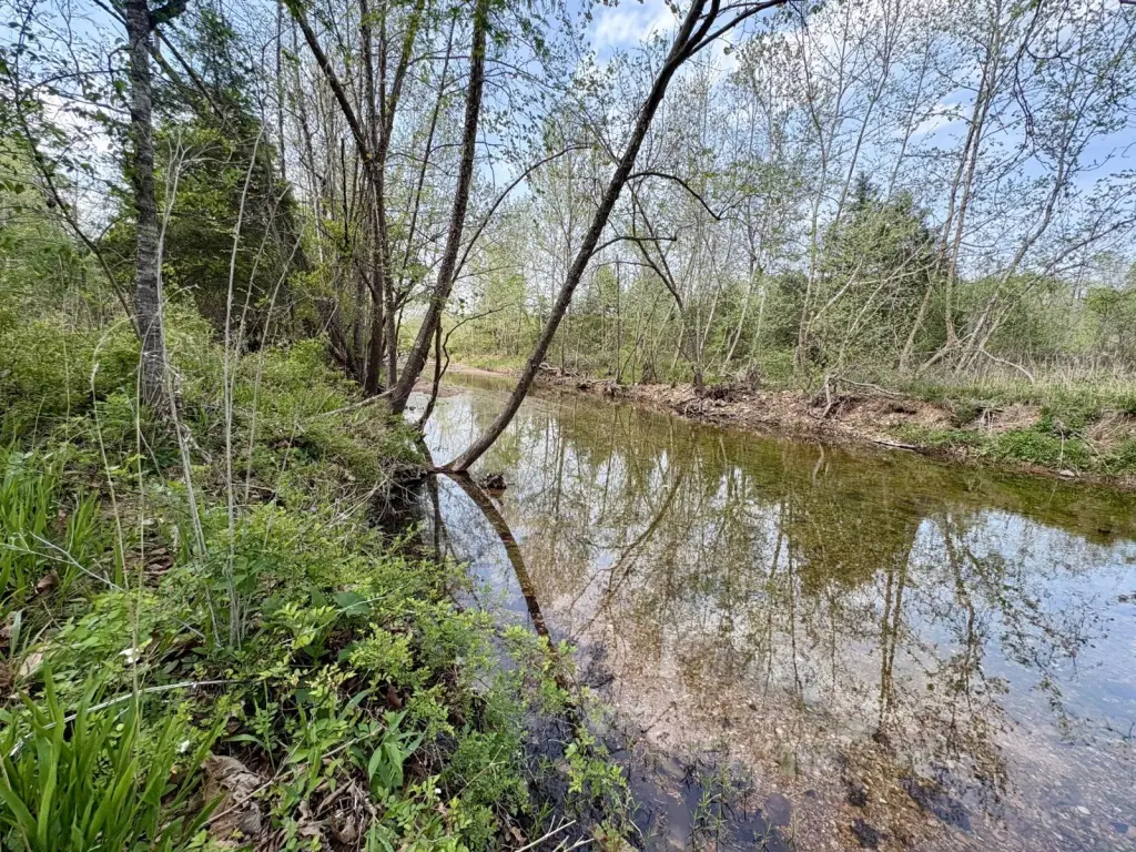 Picture 15