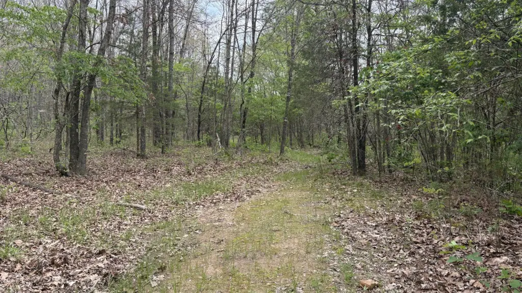 Picture 22