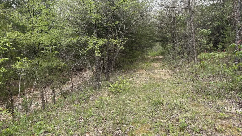 Picture 25