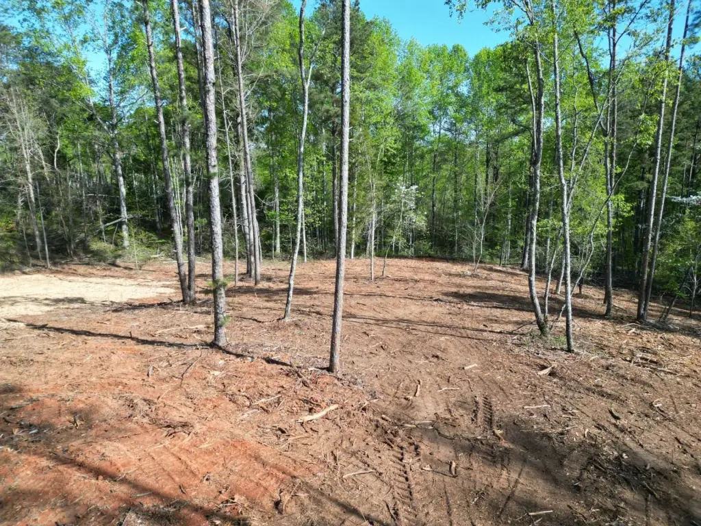 Picture 12
